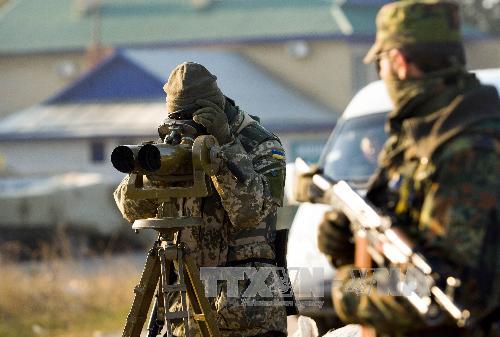 Ukraine và LPR ngừng bắn 2 ngày ảnh 1